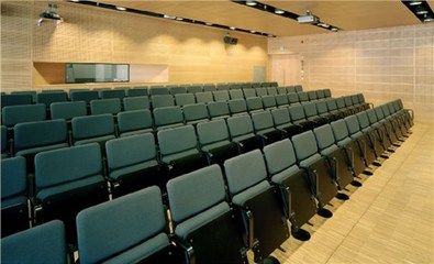 学校报告厅座椅|报告厅家具 - 办公家具工厂-酒店家具生产厂家-学校家具生产工厂-医疗养老家具生产定制-年产值近30亿集团公司批发