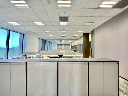 望京新入市 国企大楼出租 忠旺大厦 带全套家具 可直接办公出租 办公楼租赁 北京我爱我家